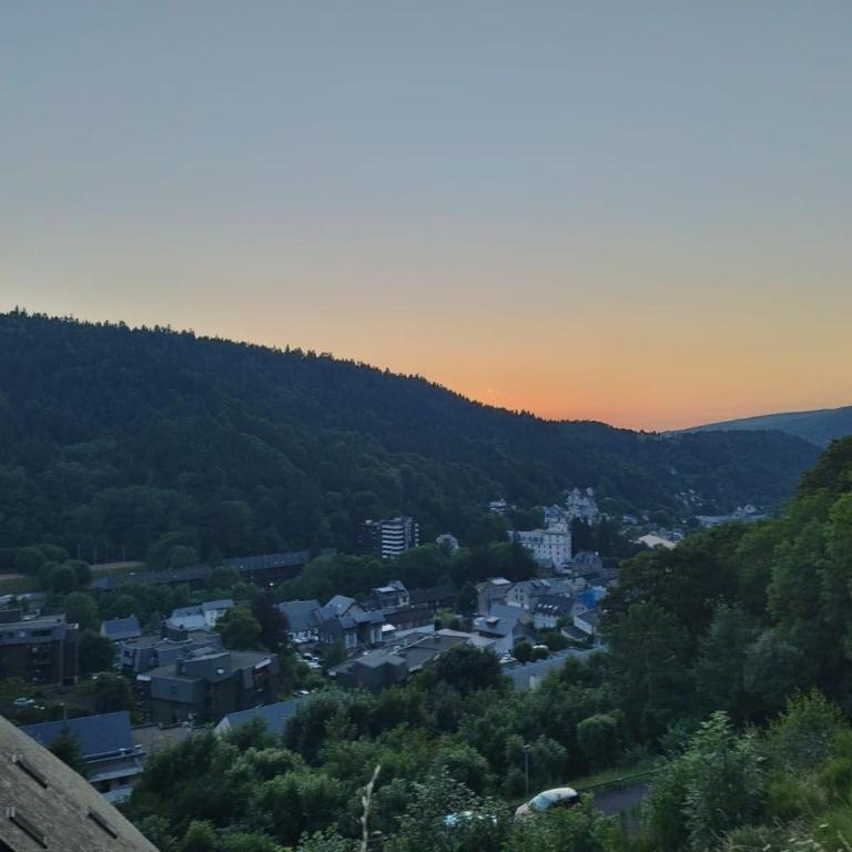 Appartement Mont-dore centre 6-8 personnes 2 ch - Apartment mit 2 Schlafzimmern - 8