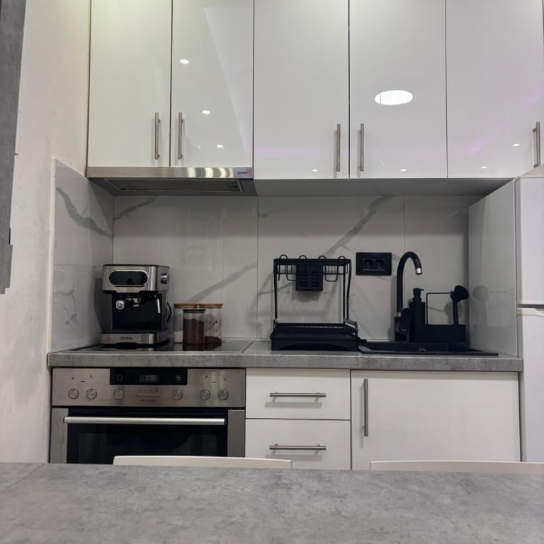 Apartman ANA - Apartman sa 1 Spavaćom Sobom - 7