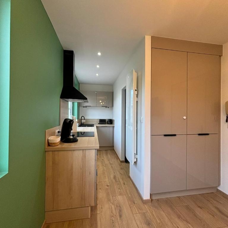 Écrin au bord du lac avec parking privé - Appartement 1 Chambre - 7