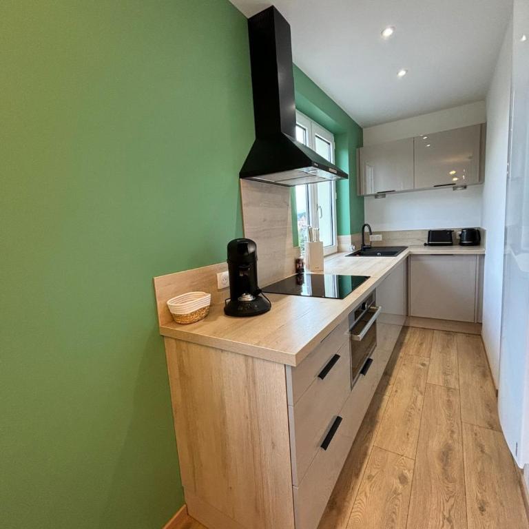 Écrin au bord du lac avec parking privé - Appartement 1 Chambre - 6