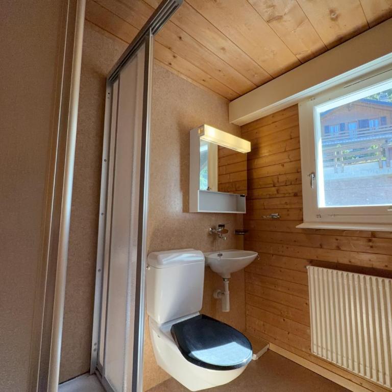 Cache-Cache MOUNTAIN & QUIET chalet 10 pers - Chalet - 25