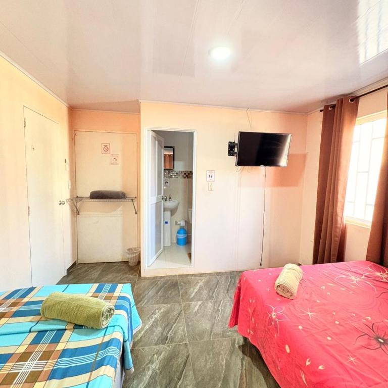 Apartamento Turistico Eisamar - Apartamento de 2 dormitorios - 5