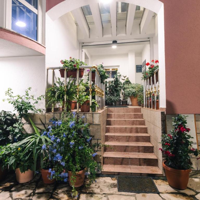 Wiena Apartments - Standard Double Room - 1