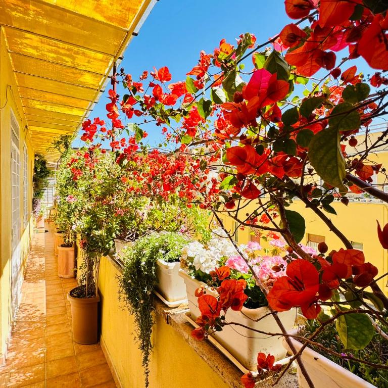 Otranto 36 - Apartment - 2