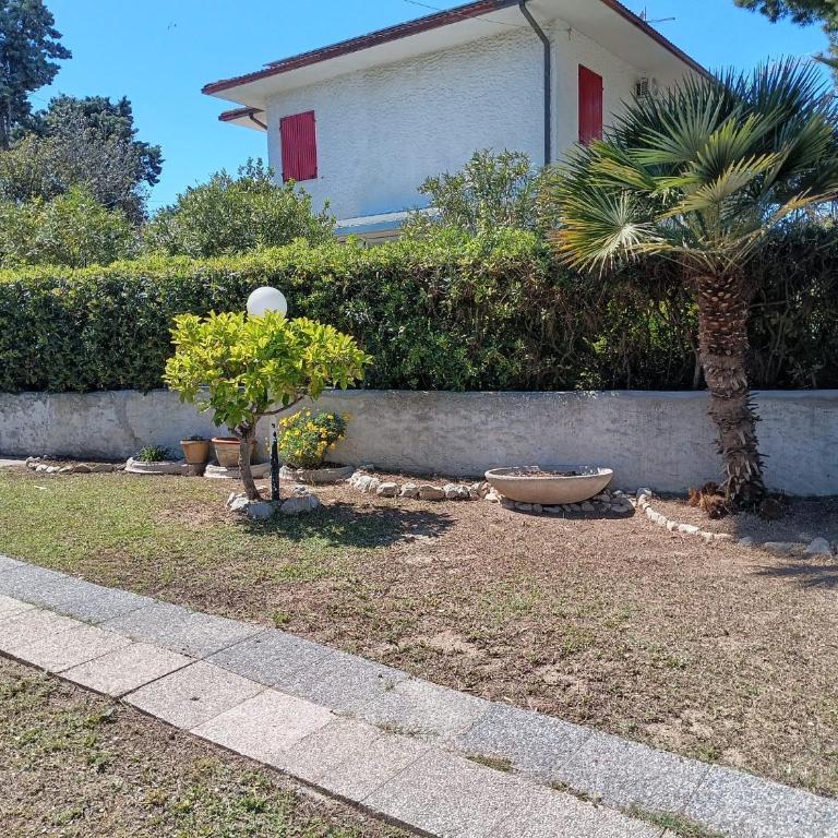 Casa Tamerici - Casa con 3 Camere da Letto - 4