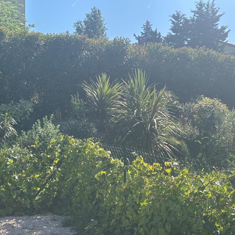 la pause soleil, villa climatisée, avec jardin et parkings privés, à 5 mn de la mer, au calme - Casa con 1 dormitorio - 2