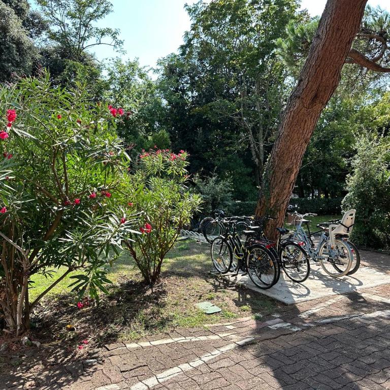 Les Pins D'Eugénie T2 Direct plage - Appartement 1 Chambre Supérieur avec Balcon - 26