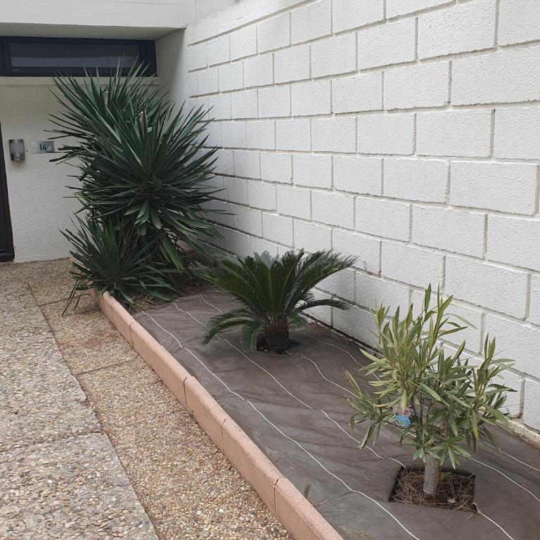 Villa Lempicka - jolie maison, jardin, parking privé - Haus mit 2 Schlafzimmern - 37