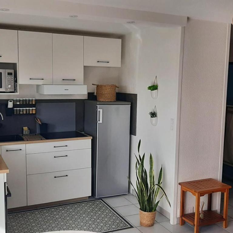 cocon proche plage et centre - Apartment mit 1 Schlafzimmer - 9