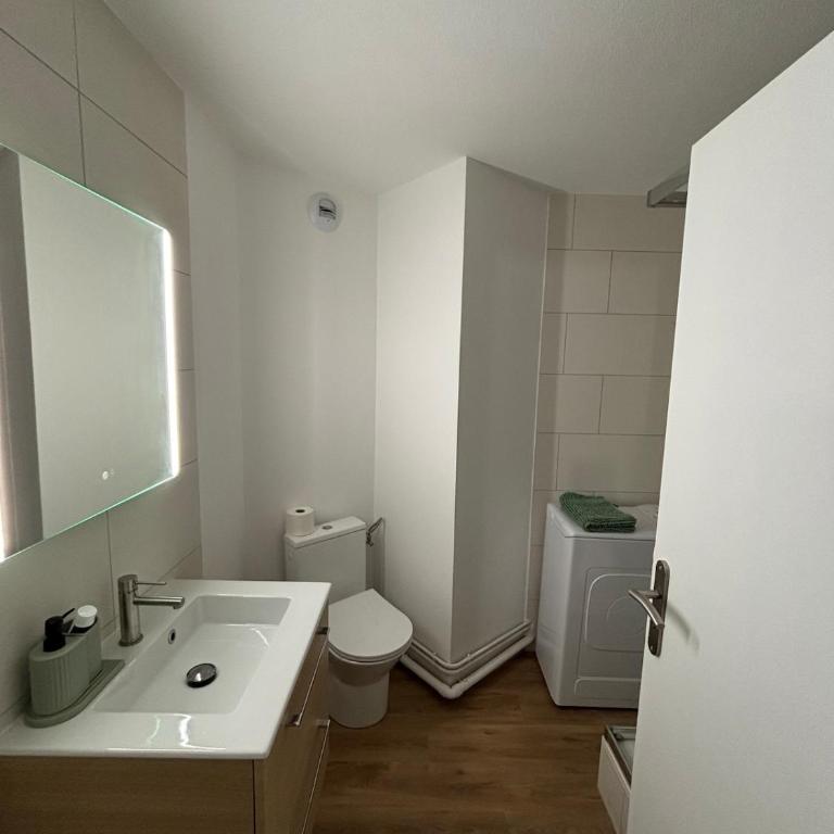Le Studio Sainte-Cécile Strasbourg Neudorf - Appartamento con 1 Camera da Letto - 25