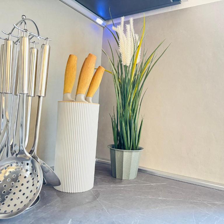 Marzolo Suite - 3 camere, 2 bagni - Centro Treviso - Appartamento con 3 Camere da Letto - 25