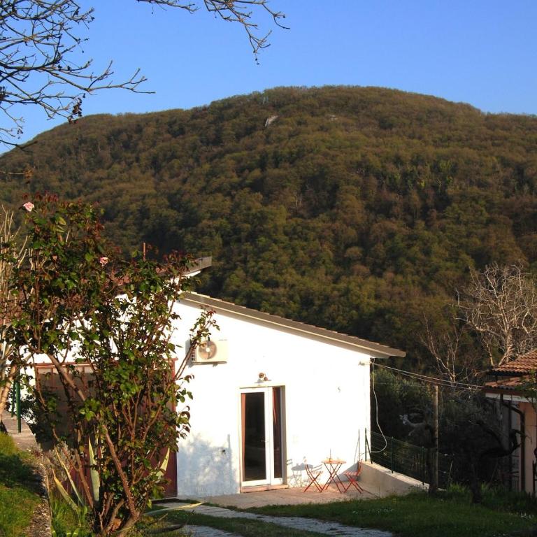 B&B Sottocolle - Appartamento in splendida posizione collinare - Appartamento con 1 Camera da Letto - 4