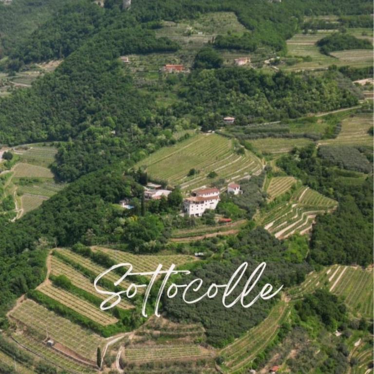 B&B Sottocolle - Appartamento in splendida posizione collinare - Appartamento con 1 Camera da Letto - 17