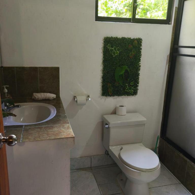 The Temple I, Mindo - Standard Double Room - 2