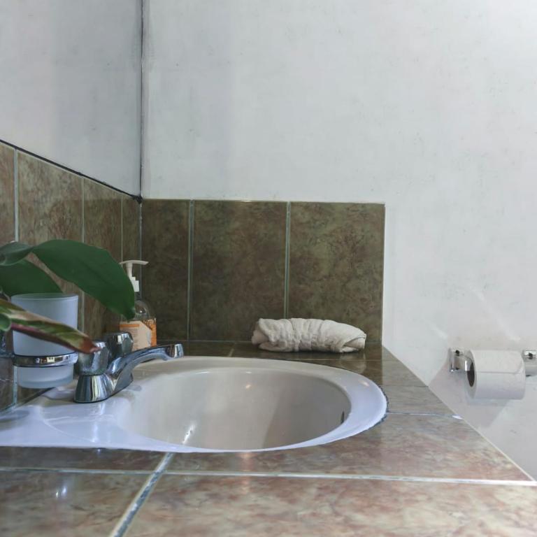 The Temple I, Mindo - Standard Double Room - 6