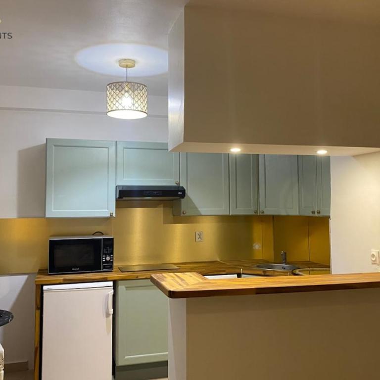 Nice Weygand Agréable studio proche centre ville - Appartement 1 Chambre - 4