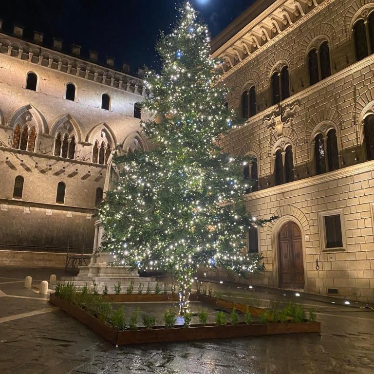 Loft Vicolo di Vallepiatta 2 min Piazza del Campo con parcheggio - Appartamento con 1 Camera da Letto - 23