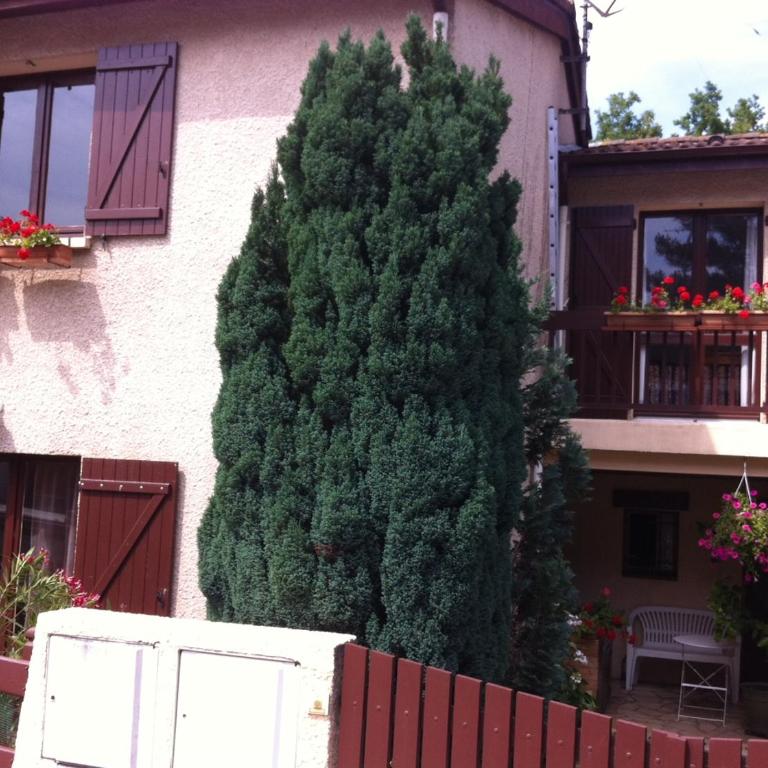 Maison familiale de vacances proche océan, dune Pyla, plages, lac de Cazaux, sites de loisirs - Casa con 3 Camere da Letto - 32