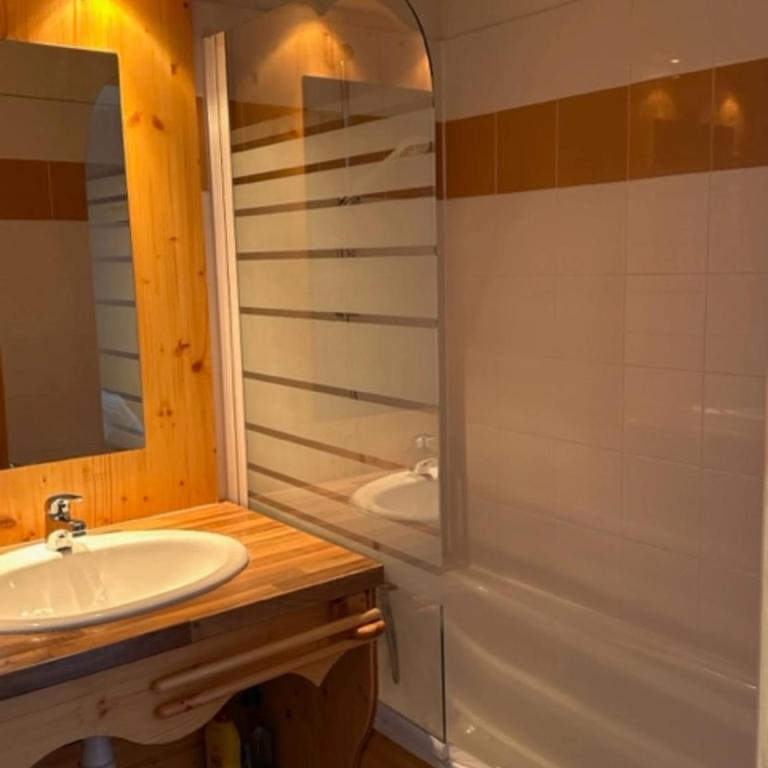 studio Nivéole 303 - Studio Supérieur - 4
