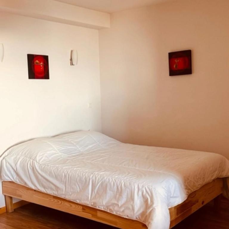 studio Nivéole 303 - Studio Supérieur - 5