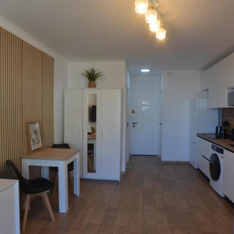 55E - Superbe studio climatisé entièrement rénové au 5ème et dernier étage sur le bord de Mer de Menton - Monolocale - 8