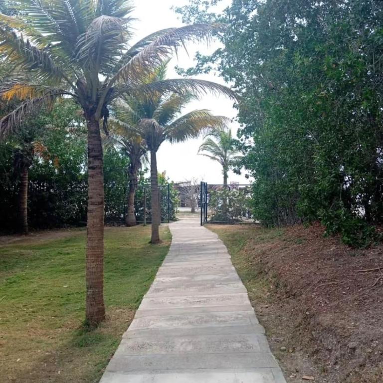 Cartagena Premium - One-Bedroom Apartment - 15
