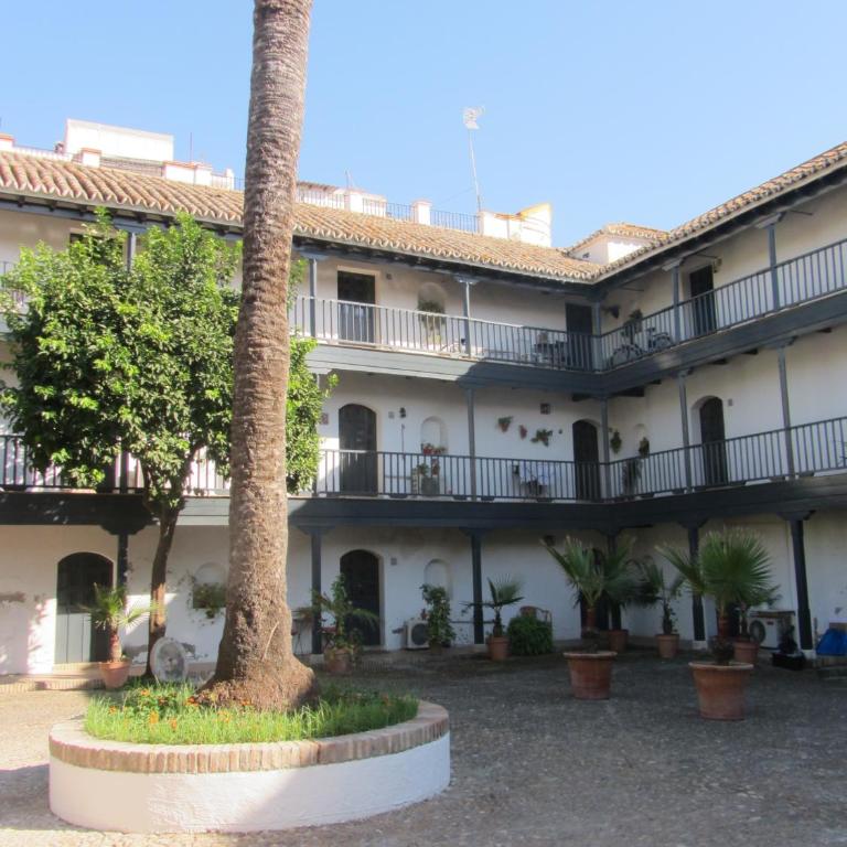Monumento S.XVI Corralas - Apartamento - Planta baja (2 adultos) - 4