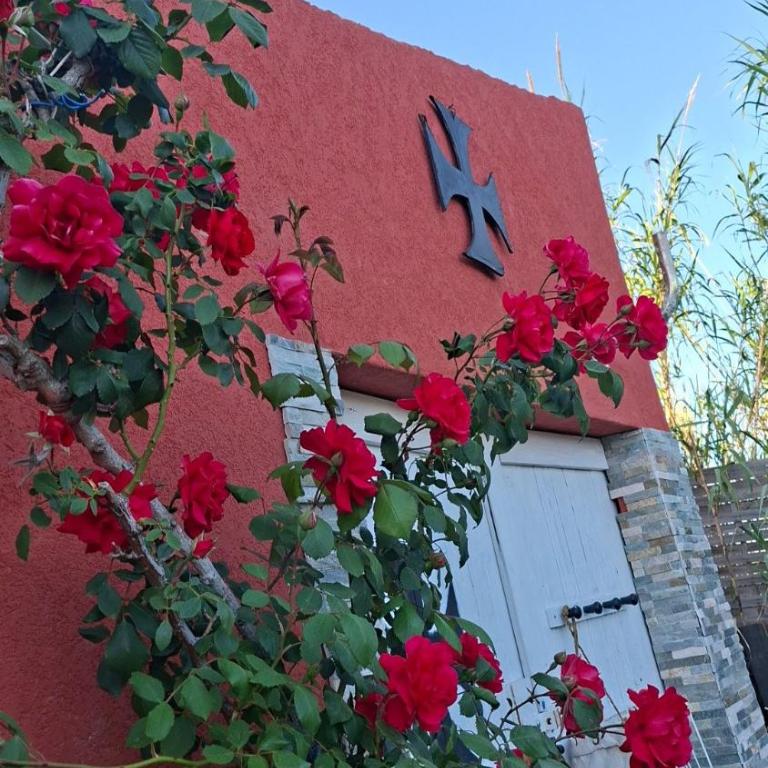 Maison de pêcheur - Maison 2 Chambres - 15