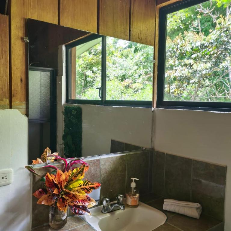 The Temple I, Mindo - Standard Double Room - 7