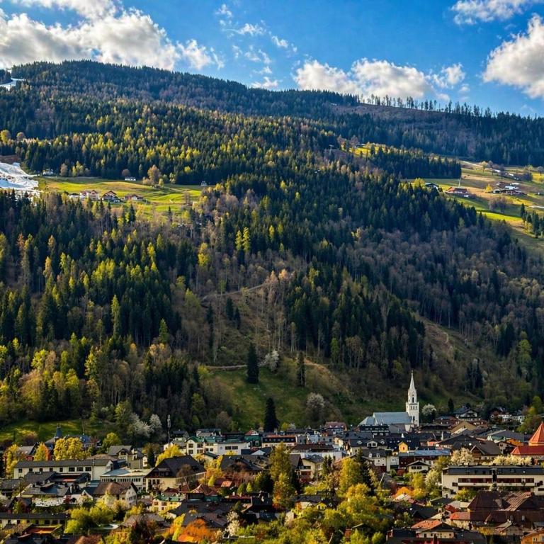Top 12, Am Sonnenhang, Hochstrasse Schladming - Apartment - 24