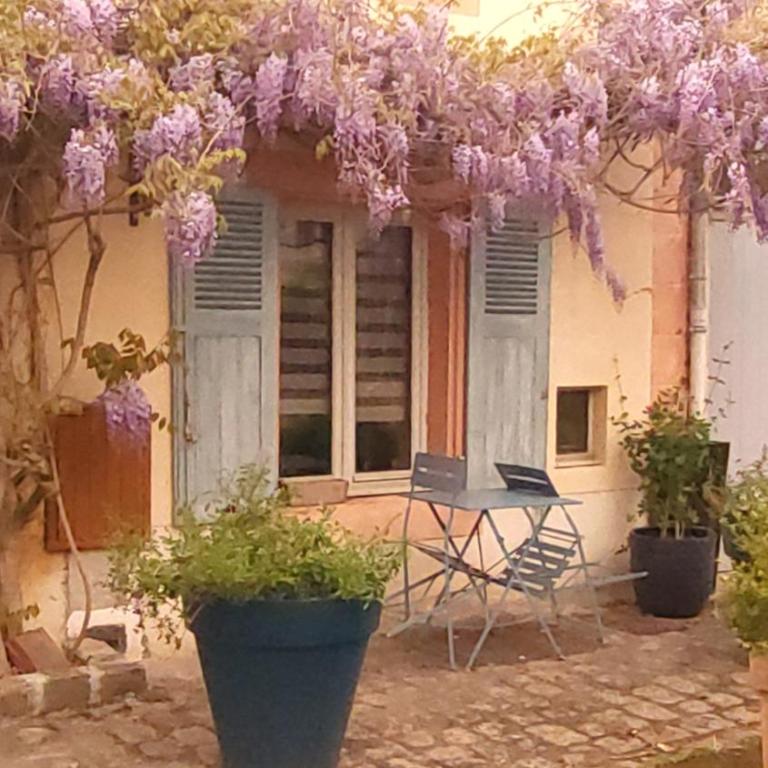 Pimprenelle maison de ville entière,atypique - Villa 3 Chambres - 4