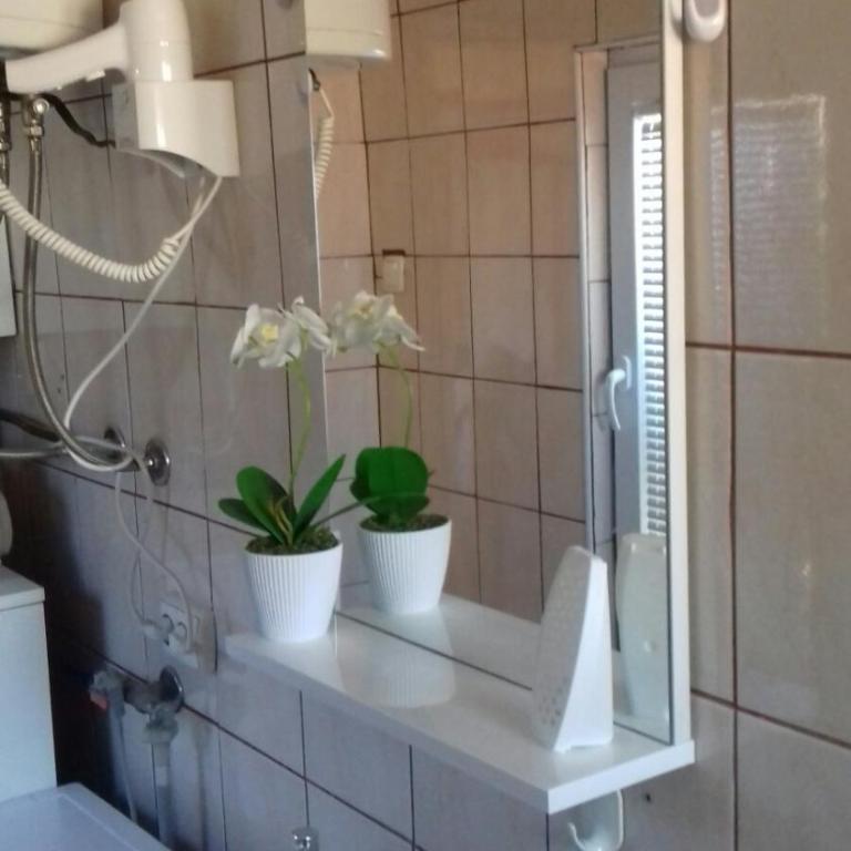 Modern&Cozy Bosnian house with GARDEN+FREE parking - Porodični Apartman Tipa "Suite" - 27