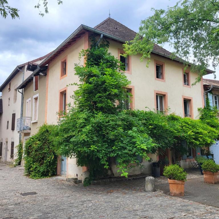 Pimprenelle maison de ville entière,atypique - Villa 3 Chambres - 2