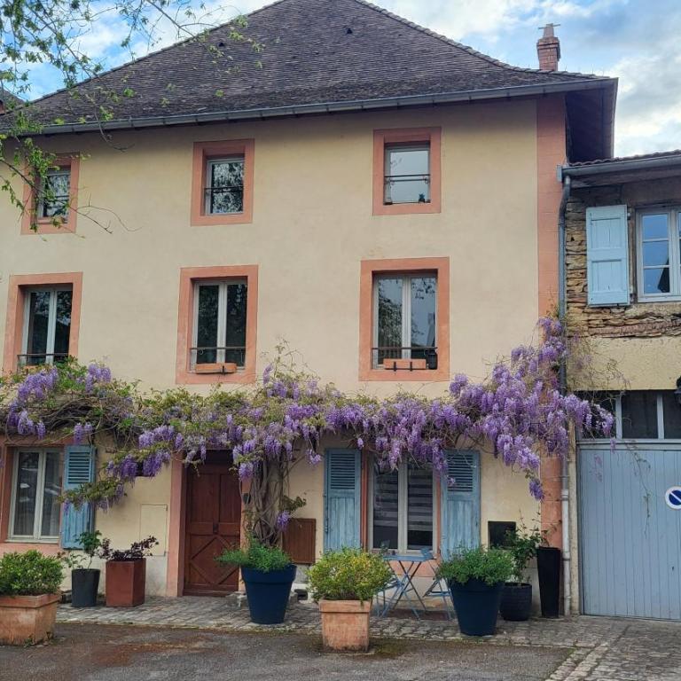 Pimprenelle maison de ville entière,atypique - Villa 3 Chambres - 1