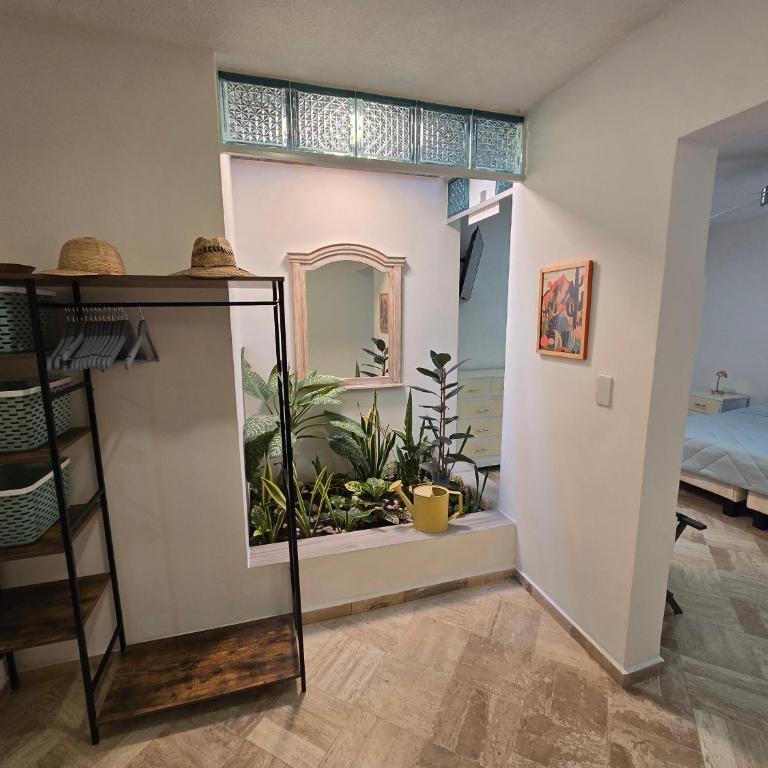 Su casa en Merida - One-Bedroom Apartment - 2