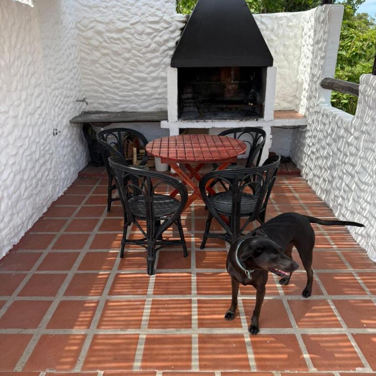 La Vecindad del Sol Depto D - One-Bedroom Apartment - 3