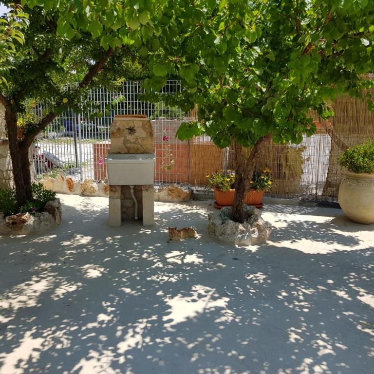 Trilocale tra alberi da frutto - Casa con 2 Camere da Letto - 5
