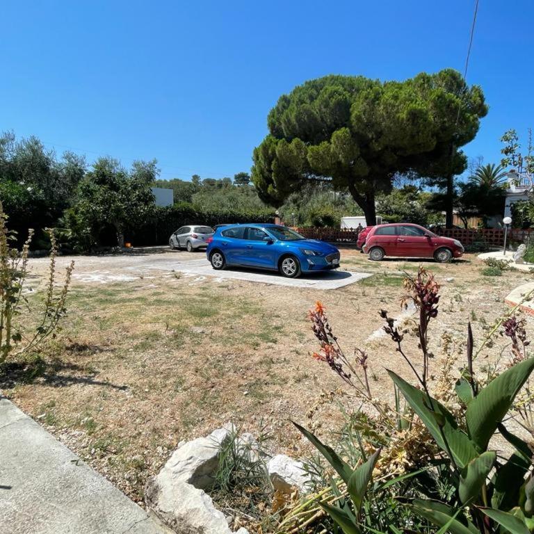 Trilocale tra alberi da frutto - Casa con 2 Camere da Letto - 15