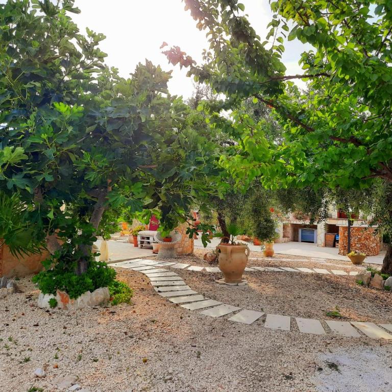 Trilocale tra alberi da frutto - Casa con 2 Camere da Letto - 4