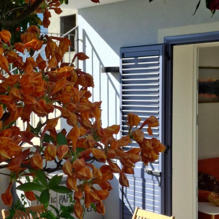 Villa Carlotta Rossa - Holiday Home with garden and pool - Casa Vacanze con 3 Camere da Letto - 34