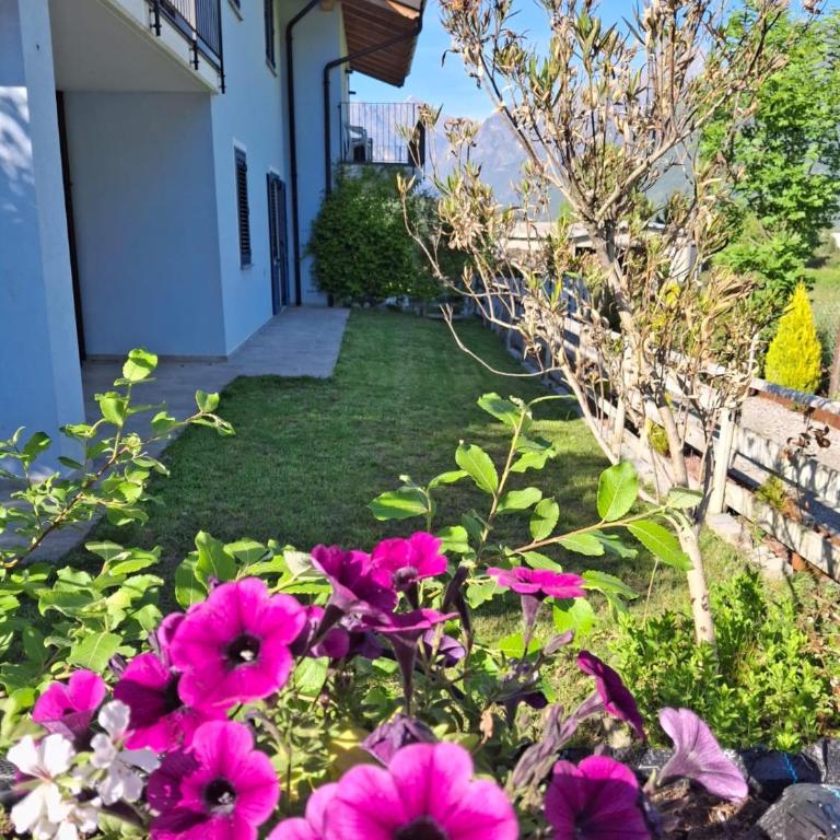 Villa Carlotta Rossa - Holiday Home with garden and pool - Casa Vacanze con 3 Camere da Letto - 35