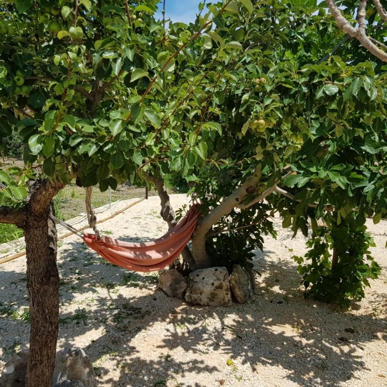 Trilocale tra alberi da frutto - Casa con 2 Camere da Letto - 8
