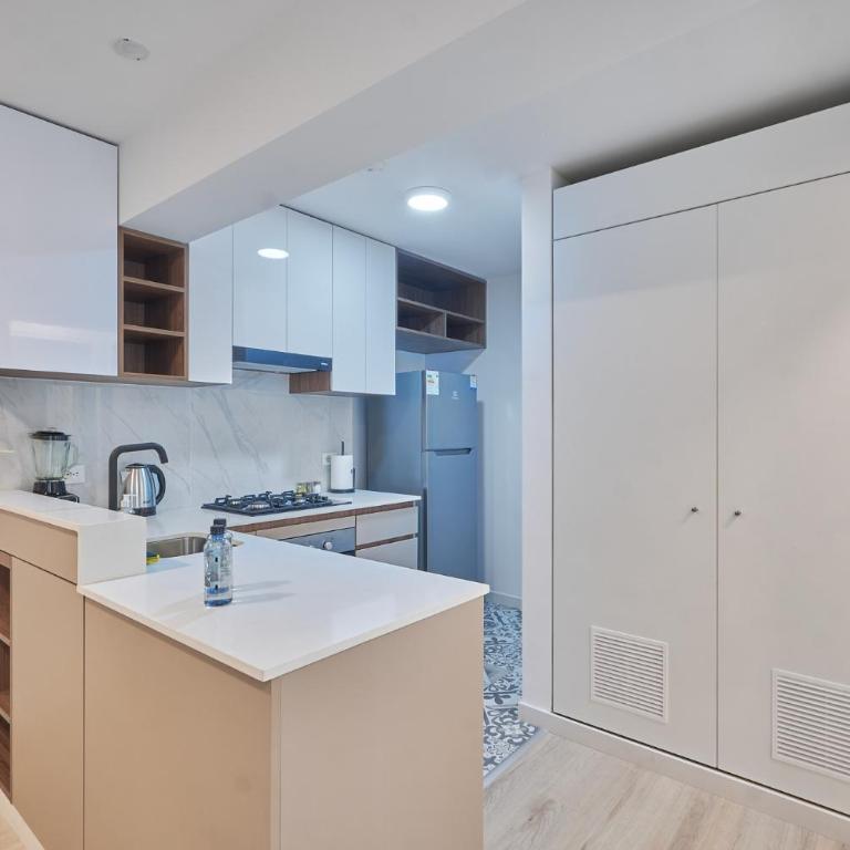 Amador Merino Reyna 346 Residences by Geko - One-Bedroom Deluxe Apartment - 4