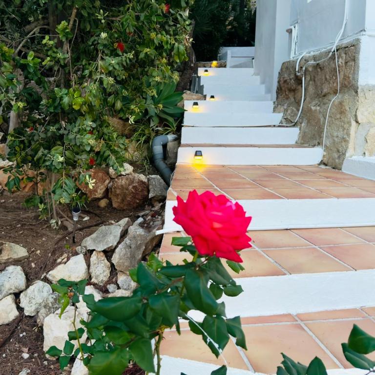 Villa Granadella Javea - Villa con vistas al mar - 16