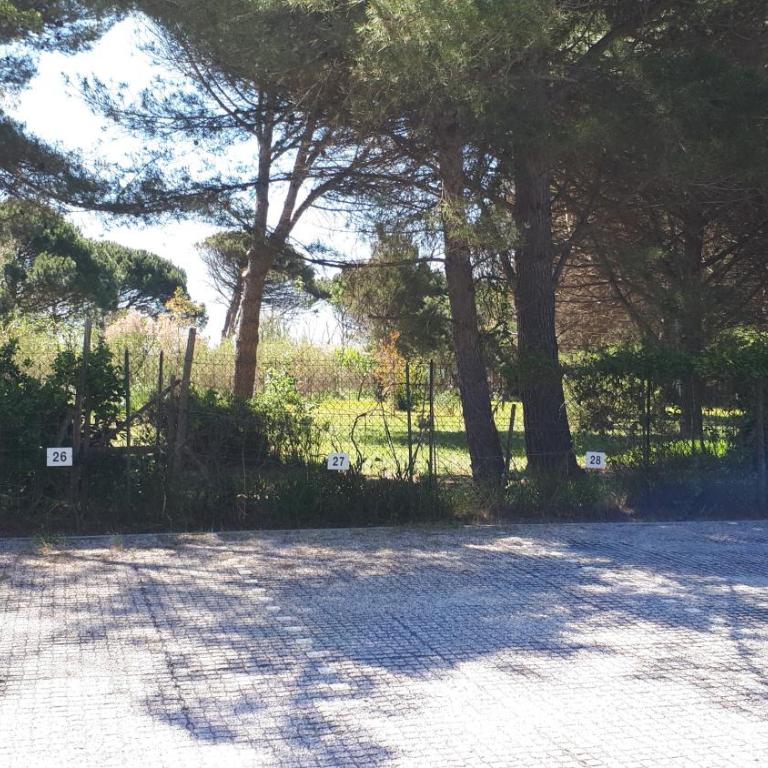 Hespera, Exceptionnel, Classé 3 étoiles, Vue mer, Accès plage direct, Parking privé - Appartement 1 Chambre - 58