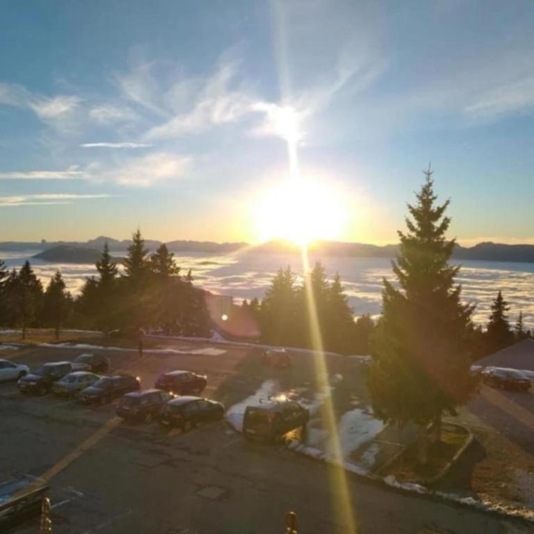 « Le doux Chalet » Roche Béranger - Appartement Supérieur 1 Chambre - 1