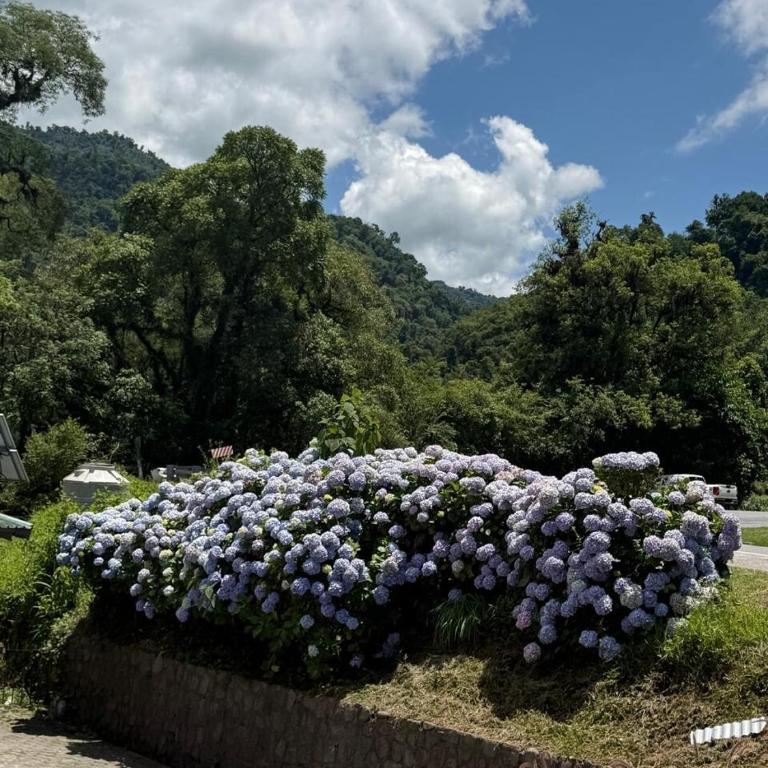 Alquilo casa en Tafi del Valle - Casa de 5 dormitorios - 26