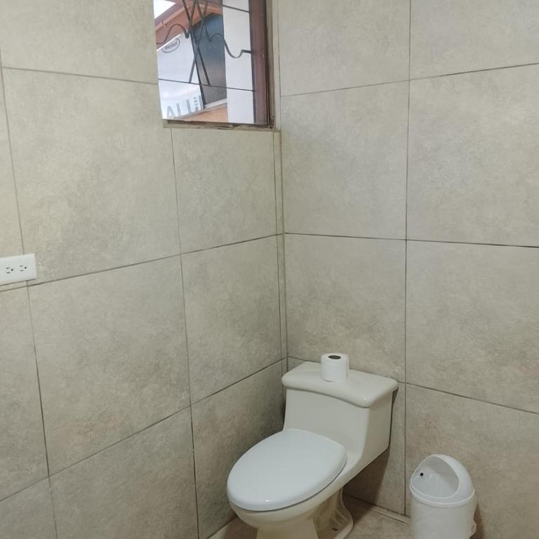 Cuatro Alturas - Single Bed in Male Dormitory Room - 2
