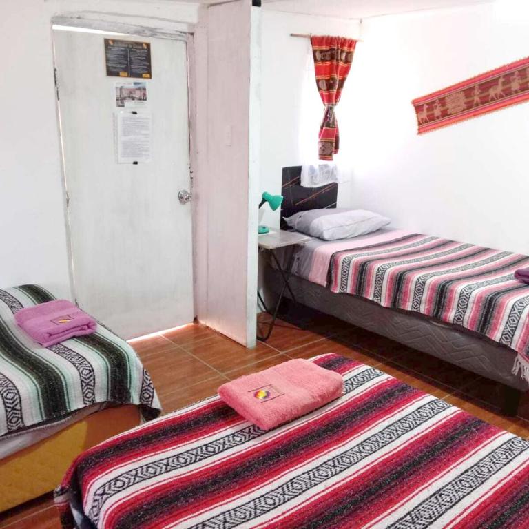 CASA HOSTAL LA PASKANA ATACAMEÑa - Single Bed in Female Dormitory Room - 9