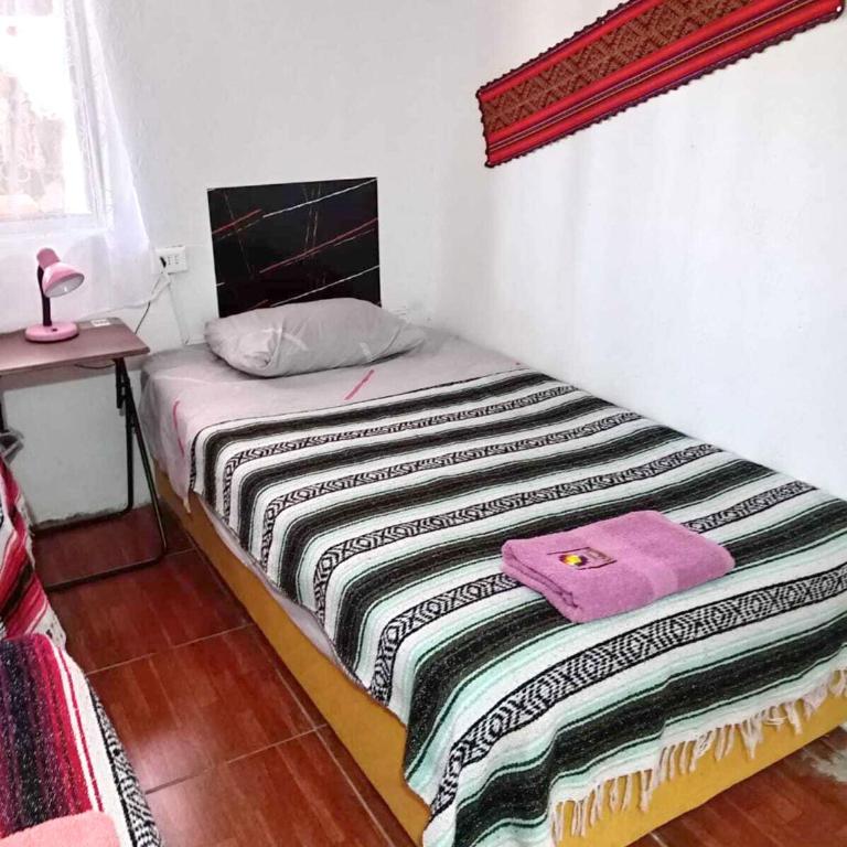 CASA HOSTAL LA PASKANA ATACAMEÑa - Single Bed in Female Dormitory Room - 14